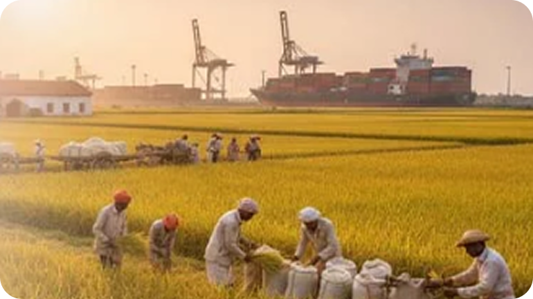 Farmers harvesting near port