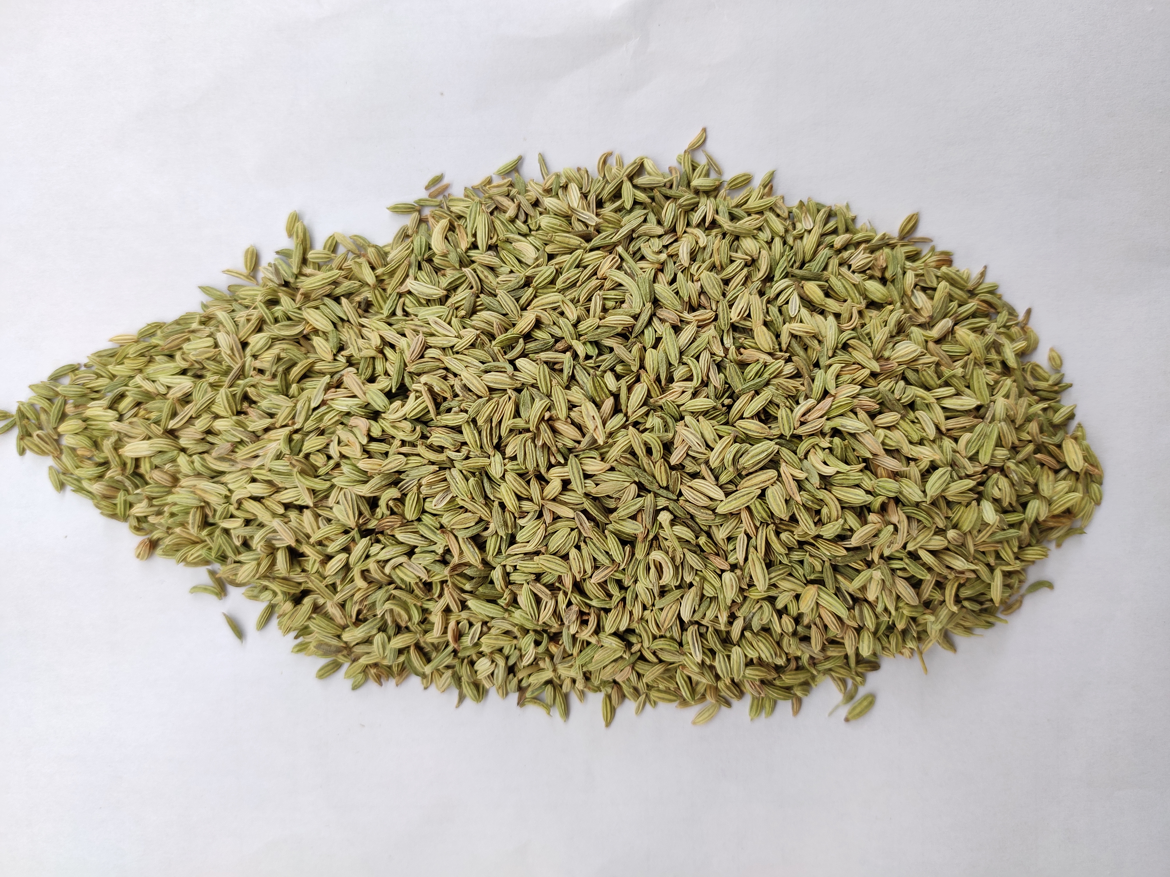 Fennel Seeds ( Europe ) 15 Kg pp bags