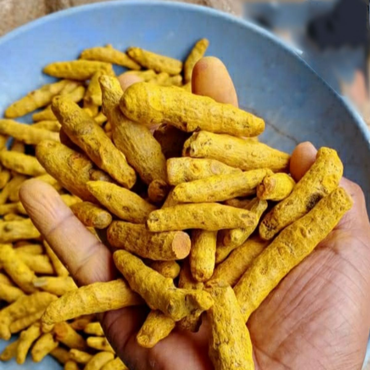 Turmeric Finger GoodGrade