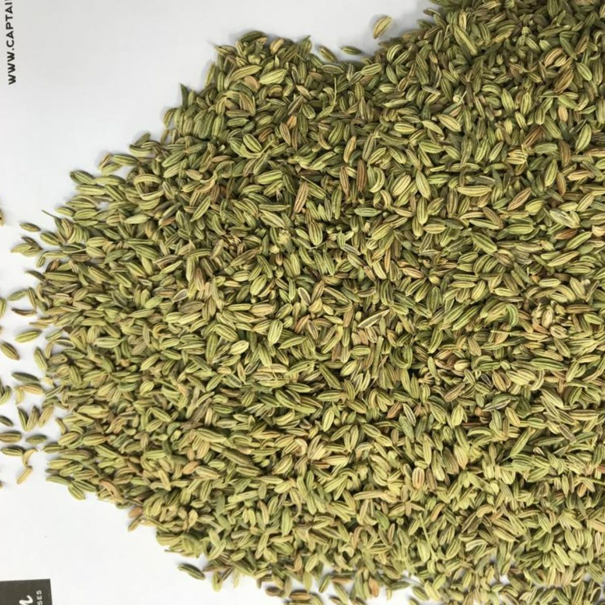 FENNEL SEEDS ABUROAD