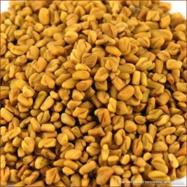 Fenugreek seeds 25 kg Pp bag