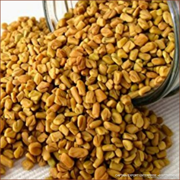Fenugreek seeds 25 kg Pp bag